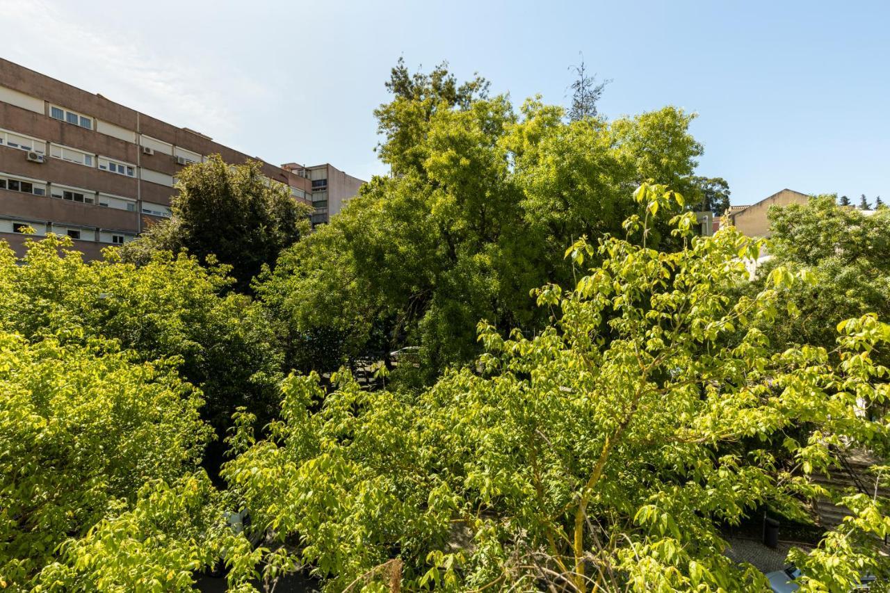 Comfy 3 Bedroom Apartment Campo De Ourique Lisbon Bagian luar foto